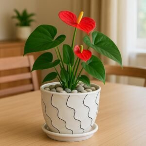 AZ-126 Ceramic Flowerpot with Tray Elegant White with Black Lines Size: Height 12.5cm