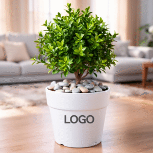 FJ-123 Ceramic Pot Indoor Planter for Flower Pot Plant Pot Succulent Plant Table Planter White Glossy (use for Logo Print) No Plants and Pebbles Planter H 8cm