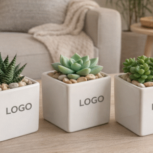 FJ-67 Ceramic Pot Indoor Planter for Flower Pot Plant Pot Succulent Plant Table Planter White Glossy (use for Logo Print) No Plants and Pebbles Planter Size: 3.5 Inch Square