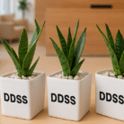 FJ-67 Pots 970x600 4